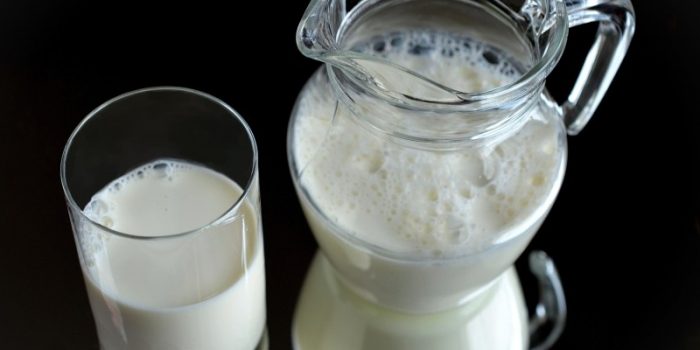 milk-glass-frisch-healthy-drink-nutritious-krug